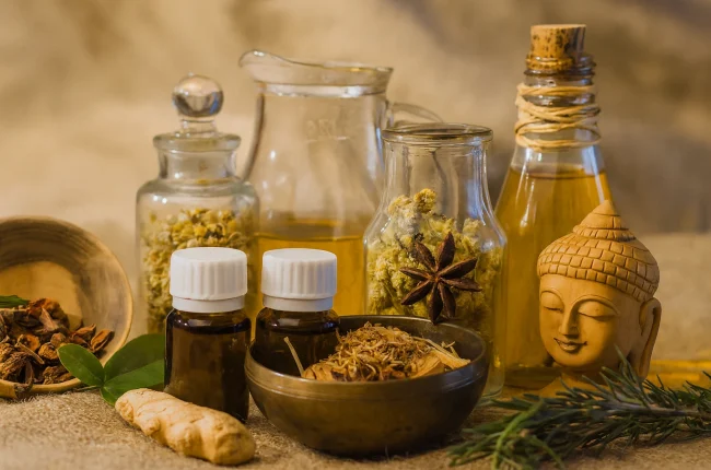 Apa Itu Ayurveda